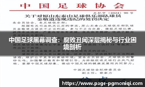 PG电子模拟器