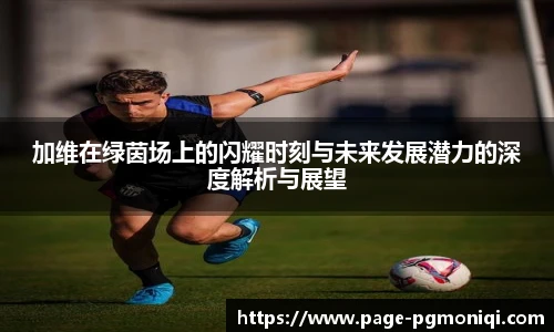 PG电子模拟器