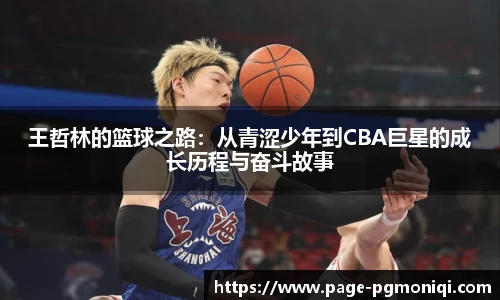 PG模拟器